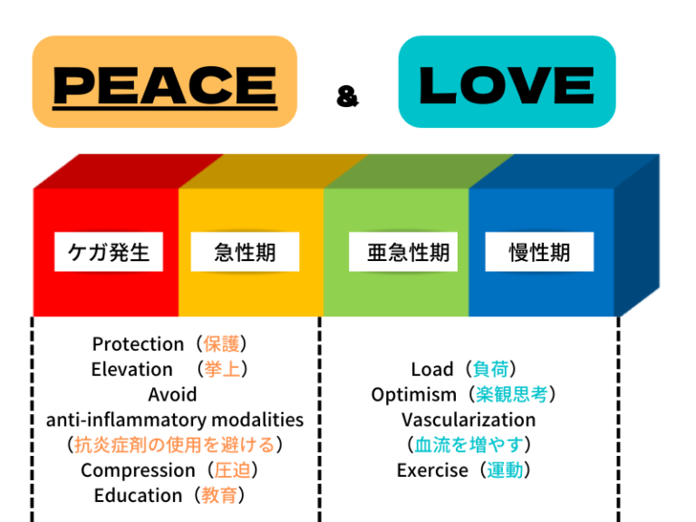 ケガの応急処置の最新の方針【PEACE&LOVE】~受傷直後~ | アスレティックトレーナーズルーム BASE|岩手県盛岡市